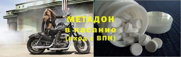 прущие грибы Алзамай