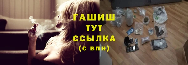 гашик Алексеевка