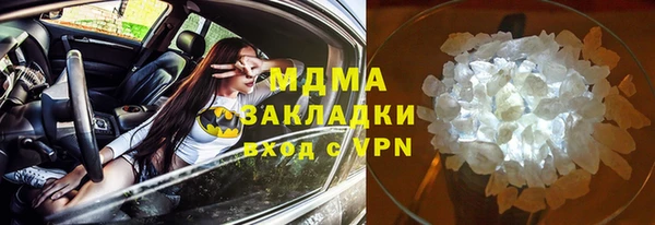 прущие грибы Алзамай